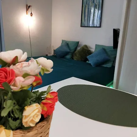 Apartment Studio Near Parking With Wifi Center *